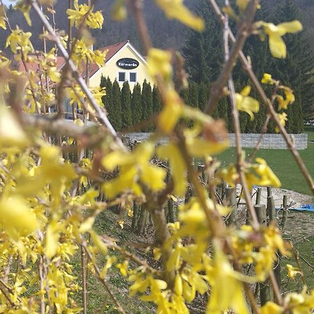 Penzion Kormoran Vranov nad Dyjí Zewnętrze zdjęcie